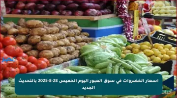 أسعار الخضروات في سوق العبور اليوم الخميس 28-8-2025 بالتحديث الجديد